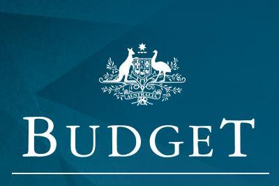 Budget logo