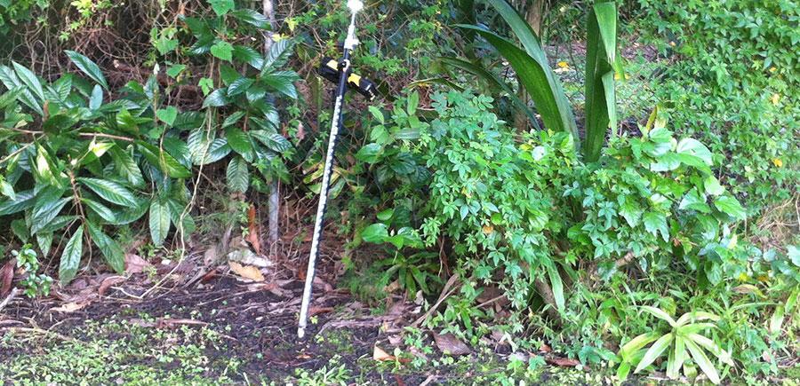 Brisbane backyard surveyed to levels