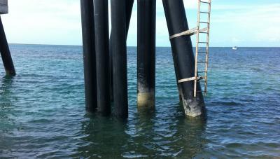 Large pontoon marine survey in the Torres Strait